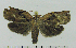  ( - ASTOR-11-0057)  @12 [ ] Unspecified (default): All Rights Reserved  Unspecified Unspecified