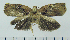  ( - ASTOR-11-0058)  @12 [ ] Unspecified (default): All Rights Reserved  Unspecified Unspecified