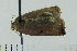  ( - ASTOR-11-0060)  @12 [ ] Unspecified (default): All Rights Reserved  Unspecified Unspecified