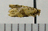  ( - ASTOR-11-0068)  @12 [ ] Unspecified (default): All Rights Reserved  Unspecified Unspecified