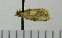  ( - ASTOR-11-0069)  @12 [ ] Unspecified (default): All Rights Reserved  Unspecified Unspecified