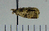  ( - ASTOR-11-0071)  @12 [ ] Unspecified (default): All Rights Reserved  Unspecified Unspecified