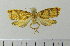  (Spatalistis sp - ASTOR-11-0072)  @12 [ ] Unspecified (default): All Rights Reserved  Unspecified Unspecified