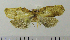  ( - ASTOR-11-0075)  @12 [ ] Unspecified (default): All Rights Reserved  Unspecified Unspecified