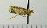  ( - ASTOR-11-0076)  @12 [ ] Unspecified (default): All Rights Reserved  Unspecified Unspecified