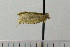  ( - ASTOR-11-0077)  @12 [ ] Unspecified (default): All Rights Reserved  Unspecified Unspecified