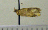  ( - ASTOR-11-0078)  @12 [ ] Unspecified (default): All Rights Reserved  Unspecified Unspecified
