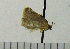  ( - ASTOR-11-0079)  @12 [ ] Unspecified (default): All Rights Reserved  Unspecified Unspecified
