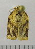  ( - ASTOR-11-0086)  @12 [ ] Unspecified (default): All Rights Reserved  Unspecified Unspecified