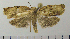  ( - ASTOR-11-0092)  @12 [ ] Unspecified (default): All Rights Reserved  Unspecified Unspecified