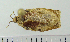  ( - ASTOR-11-0093)  @12 [ ] Unspecified (default): All Rights Reserved  Unspecified Unspecified