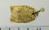  ( - ASTOR-11-0094)  @12 [ ] Unspecified (default): All Rights Reserved  Unspecified Unspecified