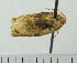  ( - ASTOR-11-0095)  @12 [ ] Unspecified (default): All Rights Reserved  Unspecified Unspecified
