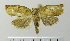  ( - ASTOR-11-0098)  @12 [ ] Unspecified (default): All Rights Reserved  Unspecified Unspecified
