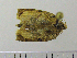  ( - ASTOR-11-0099)  @12 [ ] Unspecified (default): All Rights Reserved  Unspecified Unspecified