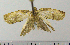  ( - ASTOR-11-0100)  @12 [ ] Unspecified (default): All Rights Reserved  Unspecified Unspecified