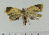  ( - ASTOR-11-0118)  @12 [ ] Unspecified (default): All Rights Reserved  Unspecified Unspecified
