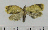  ( - ASTOR-11-0119)  @12 [ ] Unspecified (default): All Rights Reserved  Unspecified Unspecified