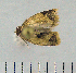  ( - ASTOR-11-0121)  @12 [ ] Unspecified (default): All Rights Reserved  Unspecified Unspecified
