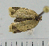  ( - ASTOR-11-0125)  @12 [ ] Unspecified (default): All Rights Reserved  Unspecified Unspecified