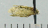  ( - ASTOR-11-0127)  @12 [ ] Unspecified (default): All Rights Reserved  Unspecified Unspecified