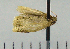  ( - ASTOR-11-0128)  @12 [ ] Unspecified (default): All Rights Reserved  Unspecified Unspecified