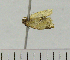  ( - ASTOR-11-0131)  @12 [ ] Unspecified (default): All Rights Reserved  Unspecified Unspecified