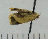  ( - ASTOR-11-0133)  @12 [ ] Unspecified (default): All Rights Reserved  Unspecified Unspecified