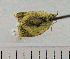  ( - ASTOR-11-0135)  @12 [ ] Unspecified (default): All Rights Reserved  Unspecified Unspecified