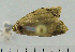  ( - ASTOR-11-0136)  @12 [ ] Unspecified (default): All Rights Reserved  Unspecified Unspecified