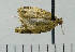  ( - ASTOR-11-0139)  @12 [ ] Unspecified (default): All Rights Reserved  Unspecified Unspecified