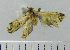  ( - ASTOR-11-0140)  @12 [ ] Unspecified (default): All Rights Reserved  Unspecified Unspecified