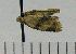  ( - ASTOR-11-0141)  @12 [ ] Unspecified (default): All Rights Reserved  Unspecified Unspecified