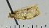  ( - ASTOR-11-0173)  @12 [ ] Unspecified (default): All Rights Reserved  Unspecified Unspecified