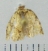  ( - ASTOR-11-0174)  @12 [ ] Unspecified (default): All Rights Reserved  Unspecified Unspecified