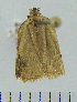  ( - ASTOR-11-0181)  @12 [ ] Unspecified (default): All Rights Reserved  Unspecified Unspecified