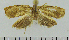  ( - ASTOR-11-0182)  @12 [ ] Unspecified (default): All Rights Reserved  Unspecified Unspecified