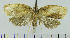  ( - ASTOR-11-0183)  @12 [ ] Unspecified (default): All Rights Reserved  Unspecified Unspecified
