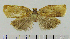  ( - ASTOR-11-0184)  @12 [ ] Unspecified (default): All Rights Reserved  Unspecified Unspecified