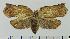  ( - ASTOR-11-0185)  @12 [ ] Unspecified (default): All Rights Reserved  Unspecified Unspecified