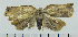  ( - ASTOR-11-0186)  @12 [ ] Unspecified (default): All Rights Reserved  Unspecified Unspecified