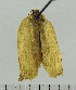  ( - ASTOR-11-0187)  @12 [ ] Unspecified (default): All Rights Reserved  Unspecified Unspecified