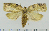  ( - ASTOR-11-0188)  @14 [ ] Unspecified (default): All Rights Reserved  Unspecified Unspecified