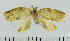  ( - ASTOR-11-0192)  @13 [ ] Unspecified (default): All Rights Reserved  Unspecified Unspecified