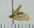  ( - ASTOR-11-0196)  @12 [ ] Unspecified (default): All Rights Reserved  Unspecified Unspecified