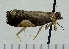  ( - ASTOR-11-0198)  @12 [ ] Unspecified (default): All Rights Reserved  Unspecified Unspecified