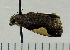 ( - ASTOR-11-0199)  @12 [ ] Unspecified (default): All Rights Reserved  Unspecified Unspecified