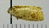  ( - ASTOR-11-0205)  @12 [ ] Unspecified (default): All Rights Reserved  Unspecified Unspecified