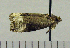  ( - ASTOR-11-0206)  @12 [ ] Unspecified (default): All Rights Reserved  Unspecified Unspecified