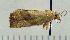  ( - ASTOR-11-0219)  @12 [ ] Unspecified (default): All Rights Reserved  Unspecified Unspecified